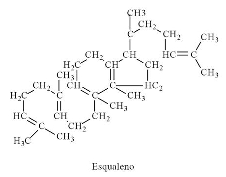 Síntese do esqualeno