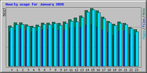 Hourly usage for January 2026