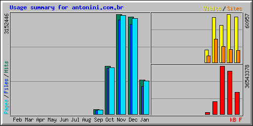 Usage summary for antonini.com.br
