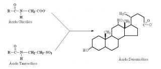 acido-desoxicolico