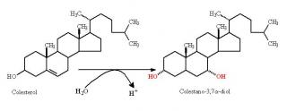 colestano-diol