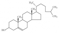 colesterol