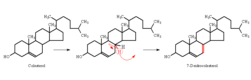 deidrocolesterol