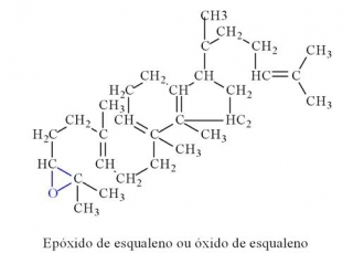 epoxi_esqualeno