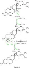 lanosterol-zimosterol