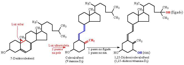 sintese-vit-d