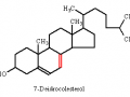 7-deidrocolestero