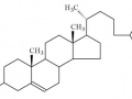 colesterol