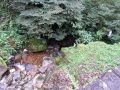 SAM_0962