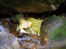 sam_0955