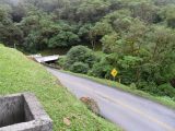 sam_0963