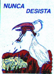 nunca_desista